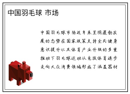 中国羽毛球 市场