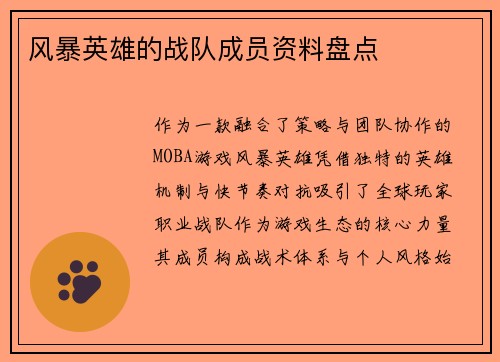 风暴英雄的战队成员资料盘点